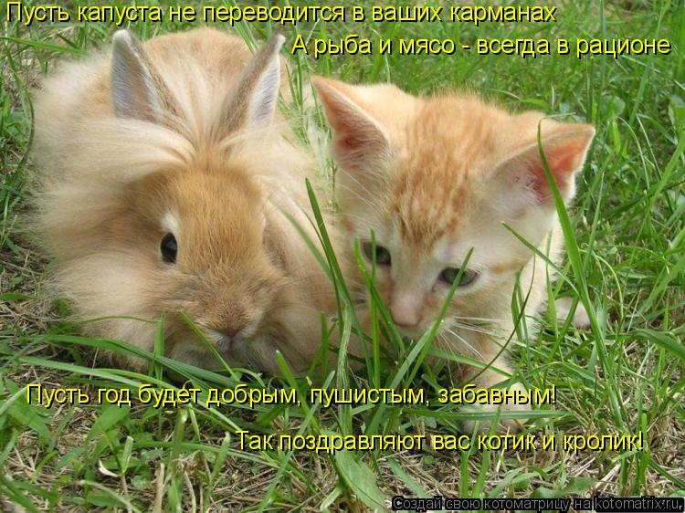Котоматрица: Пусть капуста не переводится в ваших карманах А рыба и мясо - всегда в рационе Пусть год будет добрым, пушистым, забавным! Так поздравляют ва