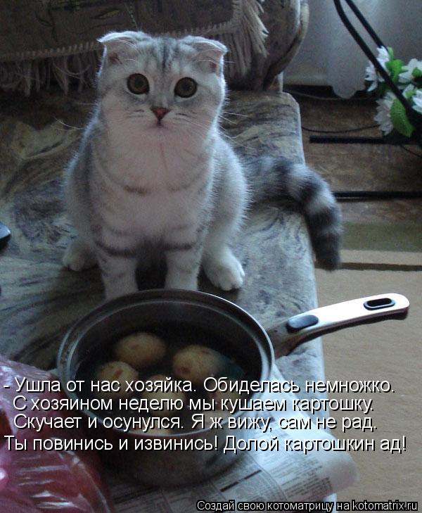 - Ушла от нас хозяйка. Обиделась немножко. С хозяином неделю мы кушаем картошку. Скучает и осунулся. ... Котоматрица: - Ушла от нас хозяйка. Обиделась немножко. С хозяином неделю мы кушаем картошку. Скучает и осунулся. Я ж вижу, сам не рад. Ты повинись и извини