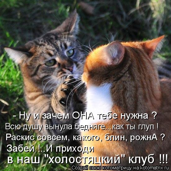- Ну и зачем ОНА тебе нужна ? Раскис совсем, какого, блин, рожнА ? Забей !..И приходи в наш "холостяц... Котоматрица: - Ну и зачем ОНА тебе нужна ? Раскис совсем, какого, блин, рожнА ? Забей !..И приходи в наш "холостяцкий" клуб !!! Всю душу вынула бедняге...как ты г