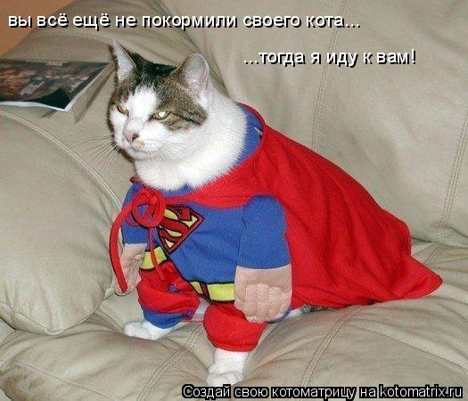 вы всё ещё не покормили своего кота... ...тогда я иду к вам!... Котоматрица: вы всё ещё не покормили своего кота... ...тогда я иду к вам!
