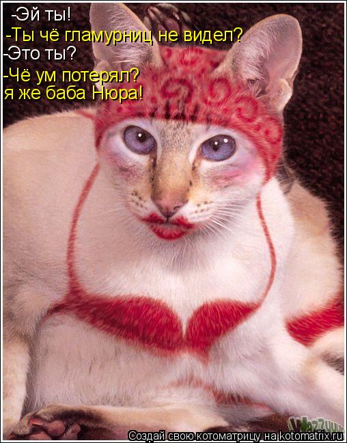 -Эй ты! -Ты чё гламурниц не видел? -Это ты? -Чё ум потерял? я же баба Нюра!... Котоматрица: -Эй ты! -Ты чё гламурниц не видел? -Это ты? -Чё ум потерял? я же баба Нюра!