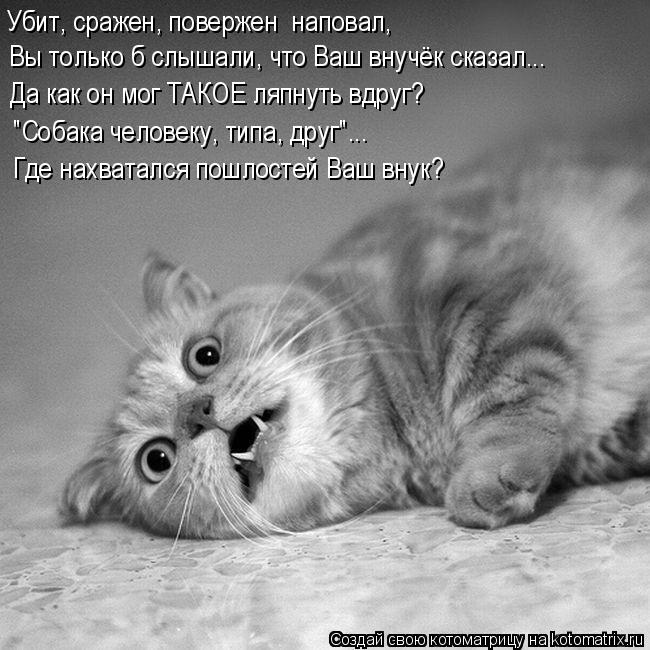 Котоматрица: Да как он мог ТАКОЕ ляпнуть вдруг? "Собака человеку, типа, друг"... Вы только б слышали, что Ваш внучёк сказал... Убит, сражен, повержен  наповал, 