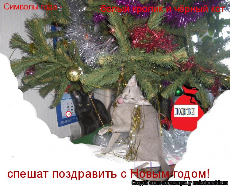Символы года - белый кролик и чёрный кот спешат поздравить с Новым годом!... Котоматрица: Символы года - белый кролик и чёрный кот спешат поздравить с Новым годом!