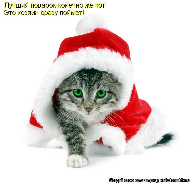 Котоматрица: Лучший подарок-конечно же кот! Это хозяин сразу поймёт!