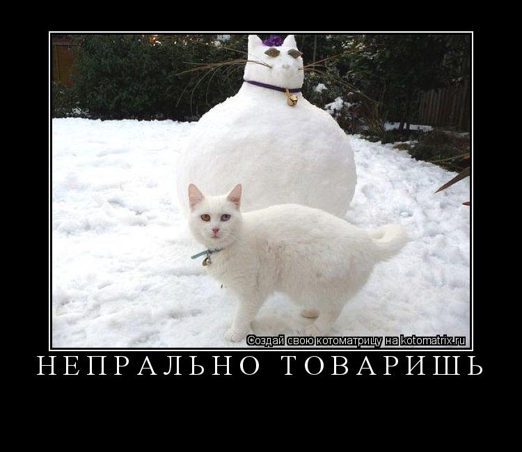 Непрально товаришь ... Котоматрица: Непрально товаришь