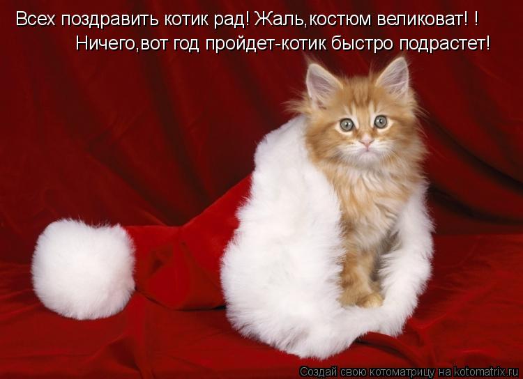 Всех поздравить котик рад! Жаль,костюм великоват! ! Ничего,вот год пройдет-котик быстро подрастет!... Котоматрица: Всех поздравить котик рад! Жаль,костюм великоват! ! Ничего,вот год пройдет-котик быстро подрастет!