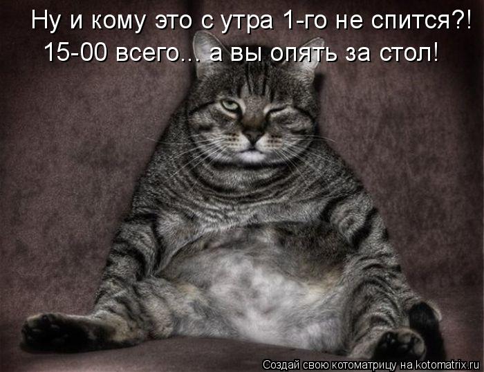 Котоматрица: Ну и кому это с утра 1-го не спится?! 15-00 всего... а вы опять за стол!