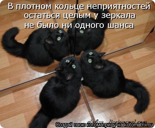 В плотном кольце неприятностей остаться целым у зеркала не было ни одного шанса... Котоматрица: В плотном кольце неприятностей остаться целым у зеркала не было ни одного шанса