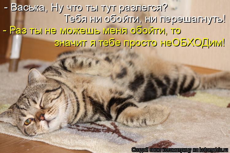 Котоматрица: - Васька, Ну что ты тут разлегся?  Тебя ни обойти, ни перешагнуть! - Раз ты не можешь меня обойти, то  значит я тебе просто неОБХОДим!
