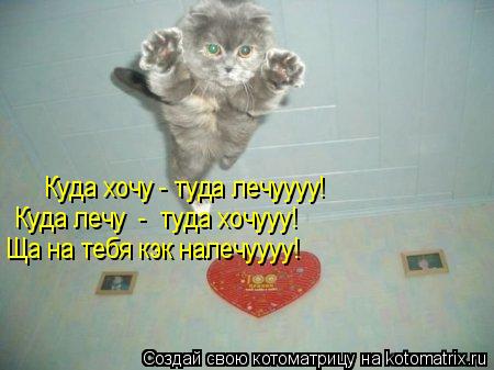 Куда хочу - туда лечуууу! Куда лечу - туда хочууу! Ща на тебя кэк налечуууу!... Котоматрица: Куда хочу - туда лечуууу! Куда лечу - туда хочууу! Ща на тебя кэк налечуууу!