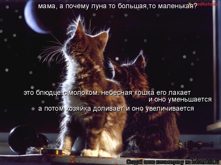 мама, а почему луна то большая,то маленькая? это блюдце с молоком. небесная кошка его лакает и оно у... Котоматрица: мама, а почему луна то большая,то маленькая? это блюдце с молоком. небесная кошка его лакает и оно уменьшается а потом хозяйка доливает и он
