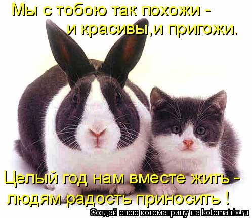 Котоматрица: Мы с тобою так похожи - и красивы,и пригожи. Целый год нам вместе жить - людям радость приносить !