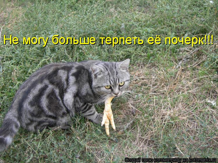 Не могу больше терпеть её почерк!!!... Котоматрица: Не могу больше терпеть её почерк!!!