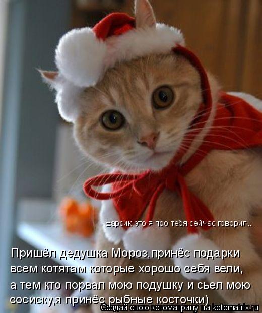 Всем котятам подарки Всем котятам подарки