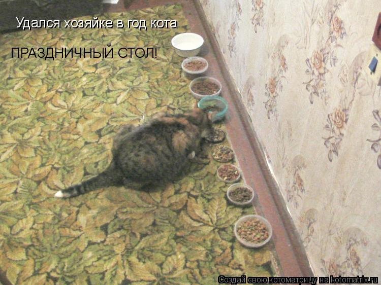Удался хозяйке в год кота ПРАЗДНИЧНЫЙ СТОЛ!... Котоматрица: Удался хозяйке в год кота ПРАЗДНИЧНЫЙ СТОЛ!