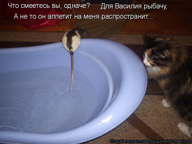 Что смеетесь вы, одначе? Для Василия рыбачу, А не то он аппетит на меня распространит...... Котоматрица: Что смеетесь вы, одначе? Для Василия рыбачу, А не то он аппетит на меня распространит...