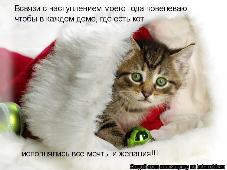 Котоматрица: Всвязи с наступлением моего года повелеваю, чтобы в каждом доме, где есть кот, исполнялись все мечты и желания!!!