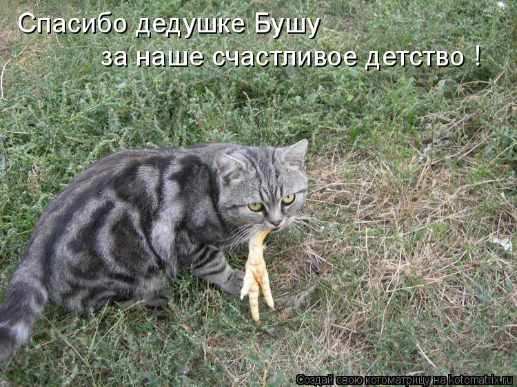 Спасибо дедушке Бушу за наше счастливое детство !... Котоматрица: Спасибо дедушке Бушу за наше счастливое детство !