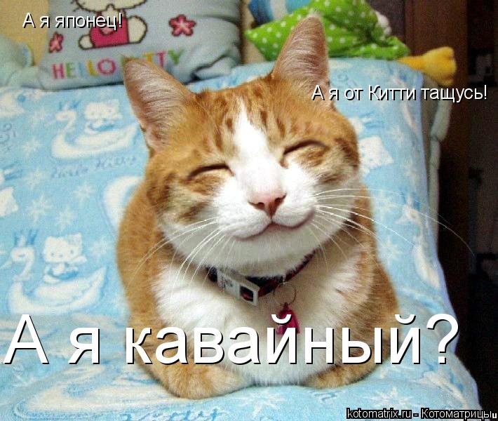 А я японец! А я от Китти тащусь! А я кавайный?... Котоматрица: А я японец! А я от Китти тащусь! А я кавайный?