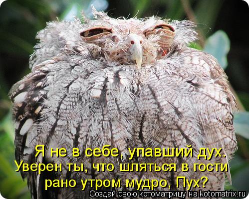 Я не в себе, упавший дух. Уверен ты, что шляться в гости рано утром мудро, Пух?... Котоматрица: Я не в себе, упавший дух. Уверен ты, что шляться в гости рано утром мудро, Пух?