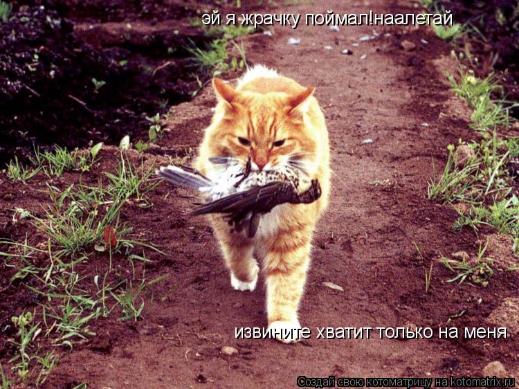 почему всегда ловит е почему всегда ловит е