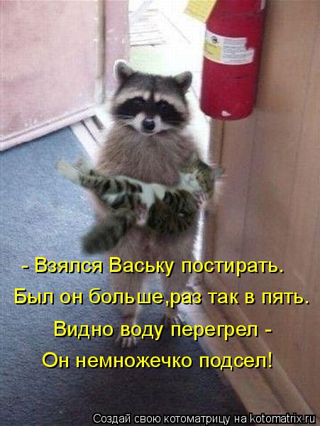 Котоматрица: - Взялся Ваську постирать. Был он больше,раз так в пять. Видно воду перегрел - Он немножечко подсел!