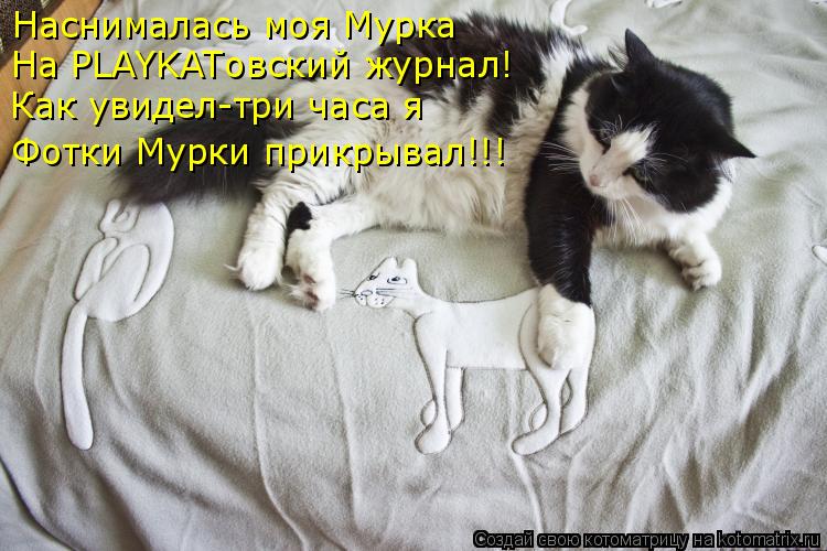 Котоматрица: Наснималась моя Мурка На PLAYKATовский журнал! Как увидел-три часа я Фотки Мурки прикрывал!!!