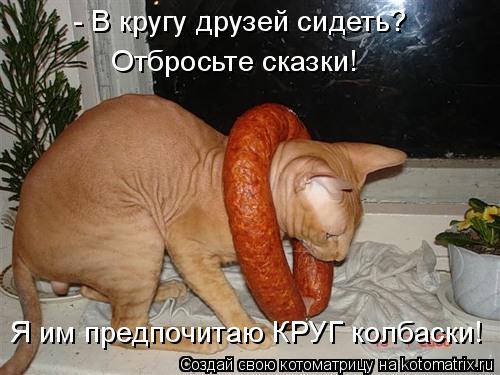 Котоматрица: - В кругу друзей сидеть? Отбросьте сказки! Я им предпочитаю КРУГ колбаски!