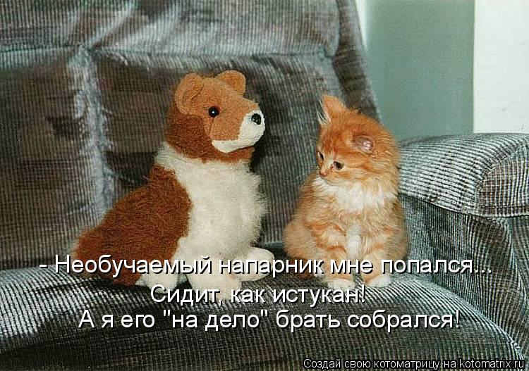 - Необучаемый напарник мне попался... Сидит, как истукан! А я его "на дело" брать собрался!... Котоматрица: - Необучаемый напарник мне попался... Сидит, как истукан! А я его "на дело" брать собрался!