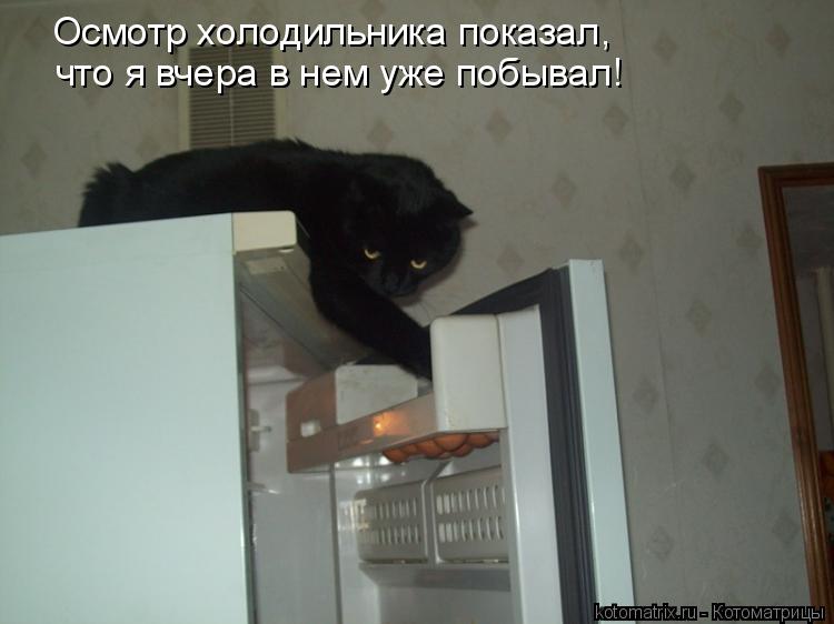 Осмотр холодильника показал, что я вчера в нем уже побывал!... Котоматрица: Осмотр холодильника показал, что я вчера в нем уже побывал!