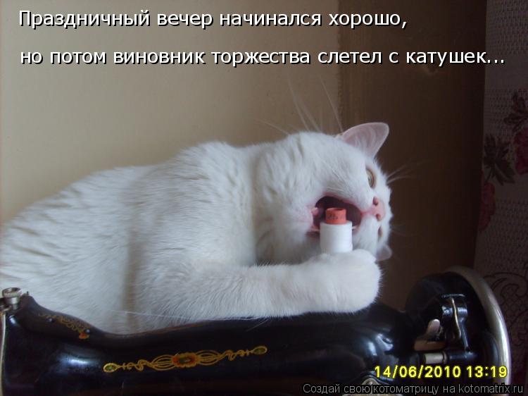 Праздничный вечер начинался хорошо, но потом виновник торжества слетел с катушек...... Котоматрица: Праздничный вечер начинался хорошо, но потом виновник торжества слетел с катушек...