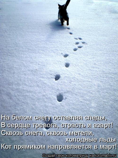 Котоматрица: Кот прямиком направляется в март! холодные льды Сквозь снега, сквозь метели,  В сердце тревога, страсть и азарт! На белом снегу оставляя след