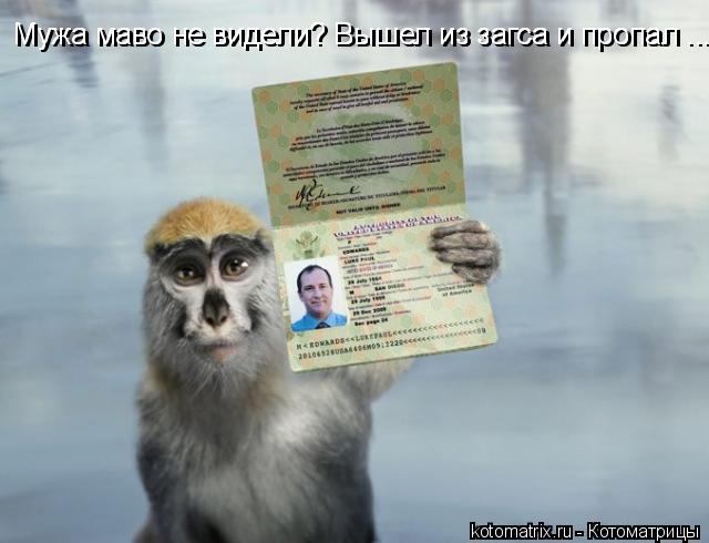 Мужа маво не видели? Вышел из загса и пропал ... Мужа маво не видели? Вышел из загса и пропал ...... Котоматрица: Мужа маво не видели? Вышел из загса и пропал ... Мужа маво не видели? Вышел из загса и пропал ...