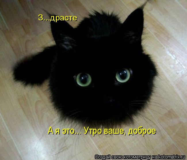 Котоматрица: З...драсте А я это... Утро ваше, доброе