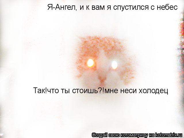 Я-Ангел, и к вам я спустился с небес Так!что ты стоишь?!мне неси холодец... Котоматрица: Я-Ангел, и к вам я спустился с небес Так!что ты стоишь?!мне неси холодец