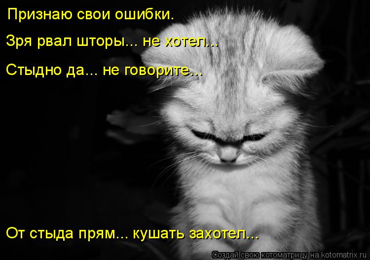Признаю свои ошибки. Зря рвал шторы... не хотел... Стыдно да... не говорите... От стыда прям... кушат... Котоматрица: Признаю свои ошибки. Зря рвал шторы... не хотел... Стыдно да... не говорите... От стыда прям... кушать захотел...