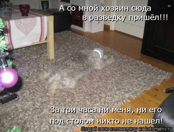 А со мной хозяин сюда в разведку пришёл!!! За три часа ни меня, ни его под столом никто не нашел!... Котоматрица: А со мной хозяин сюда в разведку пришёл!!! За три часа ни меня, ни его под столом никто не нашел!