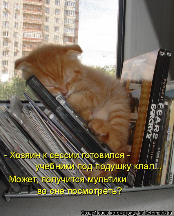 Котоматрица: - Хозяин к сессии готовился -  учебники под подушку клал... Может, получится мультики во сне посмотреть?