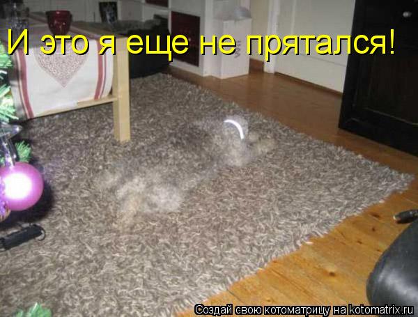 И это я еще не прятался!... Котоматрица: И это я еще не прятался!