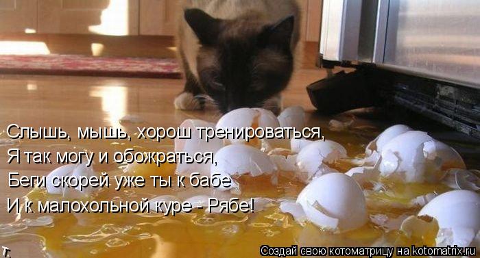 Слышь, мышь, хорош тренироваться, Я так могу и обожраться, Беги скорей уже ты к бабе И к малохольн... Котоматрица: Слышь, мышь, хорош тренироваться, Я так могу и обожраться, Беги скорей уже ты к бабе И к малохольной куре - Рябе!