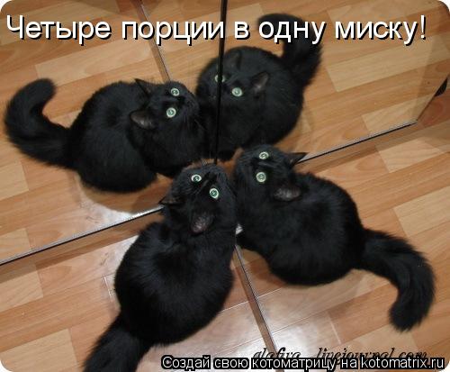 Четыре порции в одну миску!... Котоматрица: Четыре порции в одну миску!