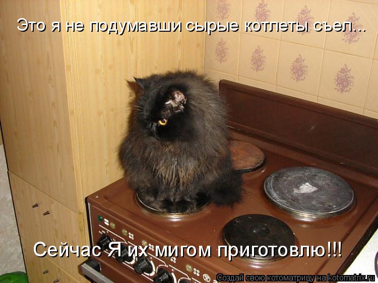 Это я не подумавши сырые котлеты съел... Сейчас Я их мигом приготовлю!!!... Котоматрица: Это я не подумавши сырые котлеты съел... Сейчас Я их мигом приготовлю!!!