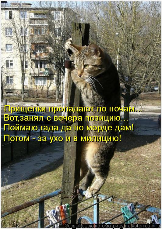 Прищепки пропадают по ночам... Вот,занял с вечера позицию... Поймаю гада да по морде дам! Потом - за ... Котоматрица: Прищепки пропадают по ночам... Вот,занял с вечера позицию... Поймаю гада да по морде дам! Потом - за ухо и в милицию!