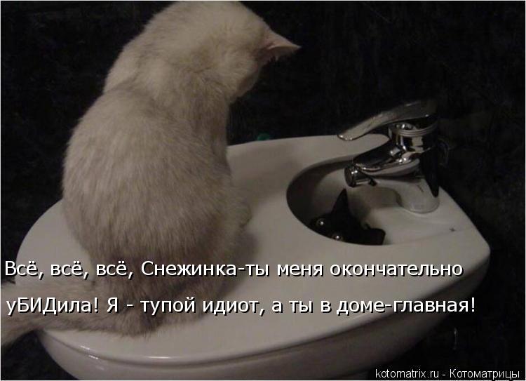 Котоматрица: Всё, всё, всё, Снежинка-ты меня окончательно уБИДила! Я - тупой идиот, а ты в доме-главная!