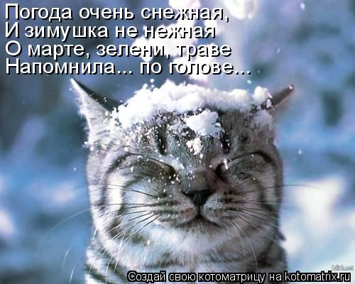 Погода очень снежная, И зимушка не нежная О марте, зелени, траве Напомнила... по голове...... Котоматрица: Погода очень снежная, И зимушка не нежная О марте, зелени, траве Напомнила... по голове...