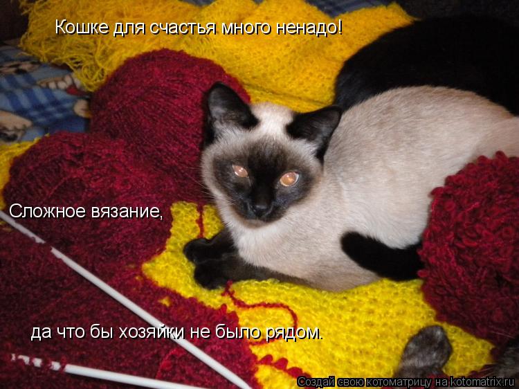 Котоматрица: Кошке для счастья много ненадо! Сложное вязание, да что бы хозяйки не было рядом.