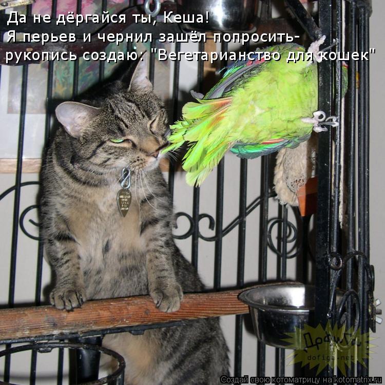 Да не дёргайся ты, Кеша! рукопись создаю: "Вегетарианство для кошек" Я перьев и чернил зашёл попросит... Котоматрица: Да не дёргайся ты, Кеша! рукопись создаю: "Вегетарианство для кошек" Я перьев и чернил зашёл попросить-