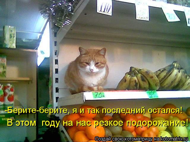-Берите-берите, я и так последний остался! В этом году на нас резкое подорожание!... Котоматрица: -Берите-берите, я и так последний остался! В этом году на нас резкое подорожание!