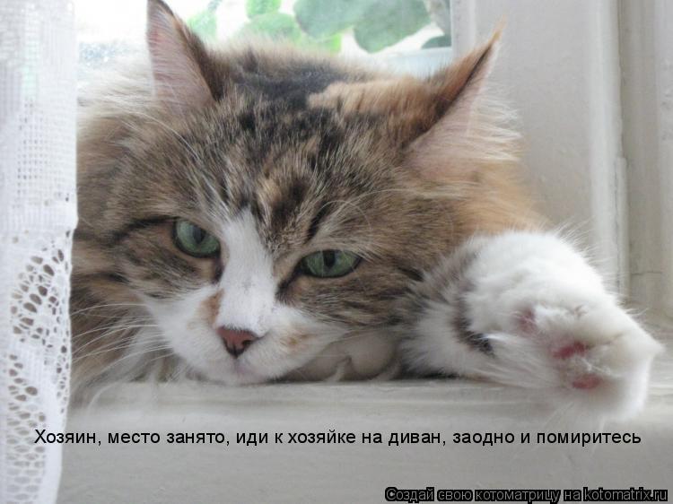 Котоматрица: Хозяин, место занято, иди к хозяйке на диван, заодно и помиритесь