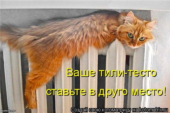 Ваше тили-тесто ставьте в друго место!... Котоматрица: Ваше тили-тесто ставьте в друго место!